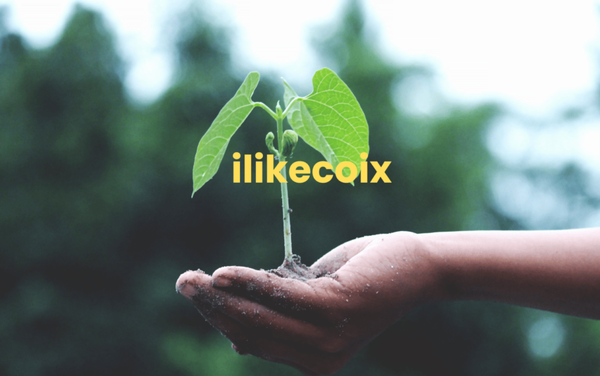 Exploring ilikecoix: The Health Benefits of ilikecoix