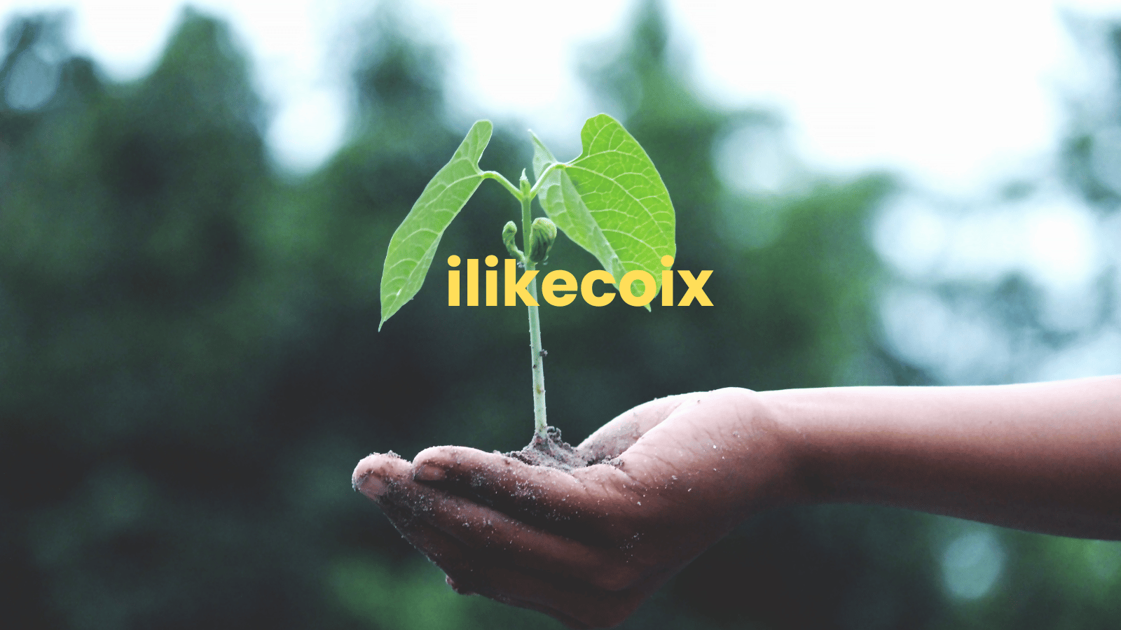 Exploring ilikecoix: The Health Benefits of ilikecoix